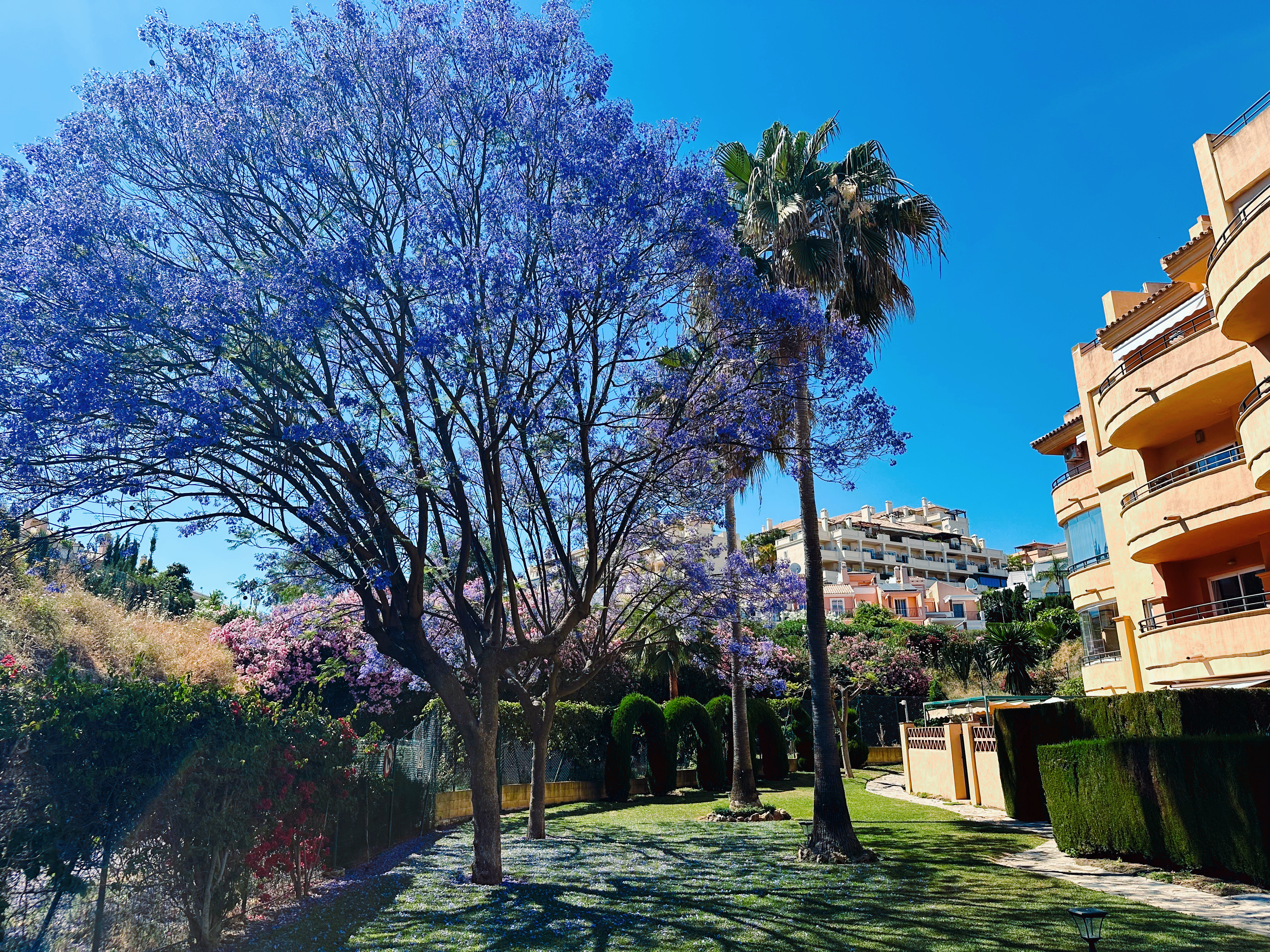Charming Fully Furnished Apartment with Tourist Licence | Riviera del Sol | Direct Golf Views