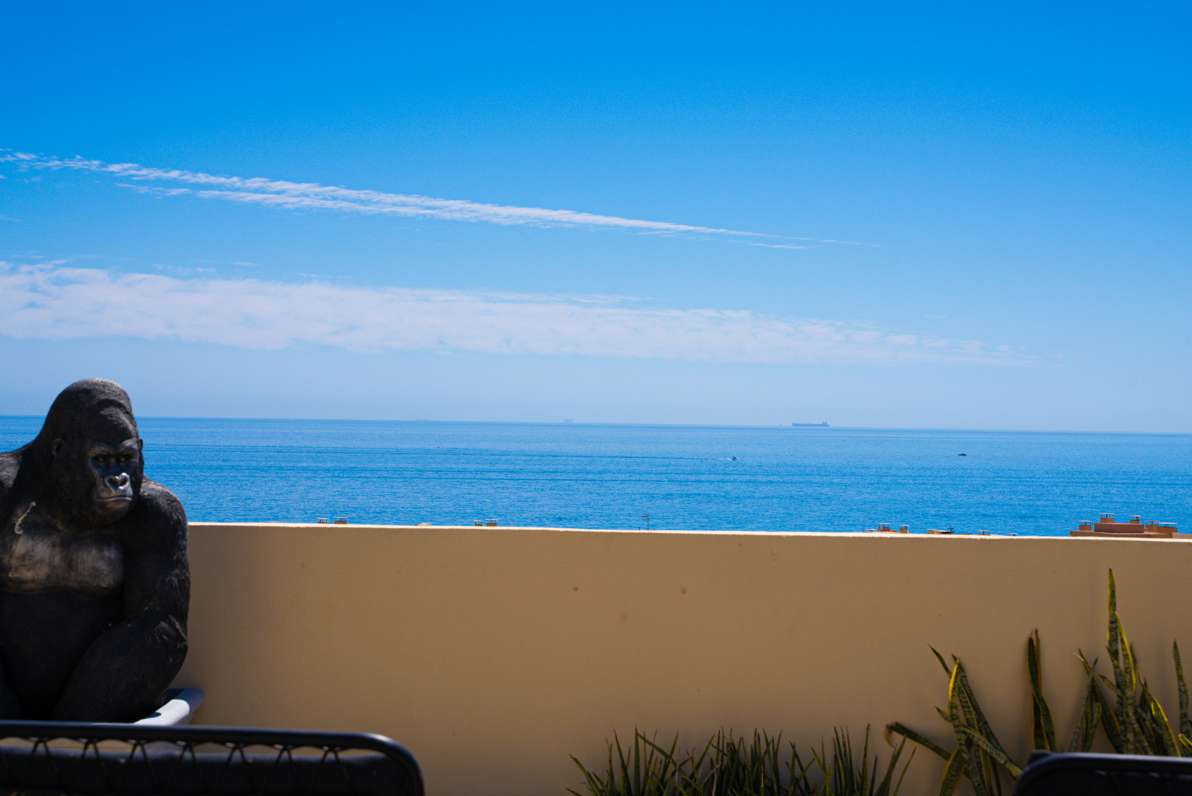 Penthouse with 80 m² Solarium, Calahonda | Echelon Estates